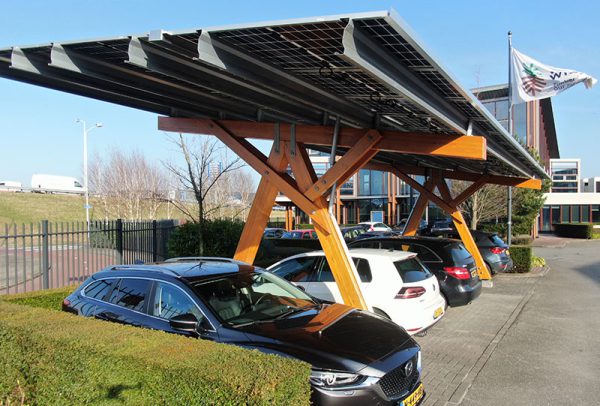 Nationale Klimaatweek Gras Wood Wide Bv Zaandam D Houtimporteur